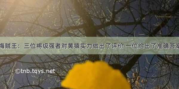 海贼王：三位将级强者对黄猿实力做出了评价 一位给出了准确答案