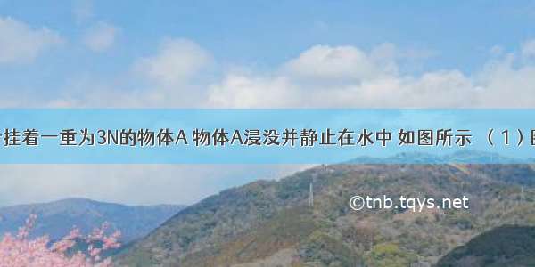 弹簧测力计挂着一重为3N的物体A 物体A浸没并静止在水中 如图所示．（1）图中弹簧测