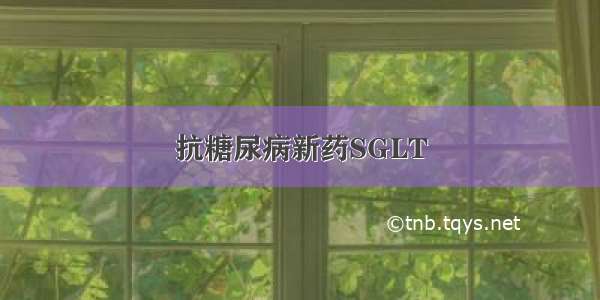 抗糖尿病新药SGLT