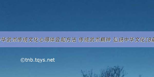 中华武术传统文化心得体会和方法 传统武术精神 弘扬中华文化(8篇)