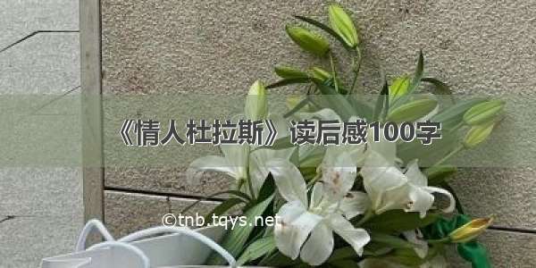 《情人杜拉斯》读后感100字