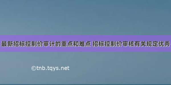 最新招标控制价审计的重点和难点 招标控制价审核有关规定优秀