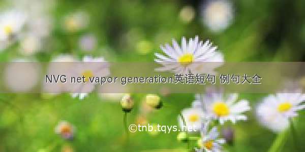 NVG net vapor generation英语短句 例句大全