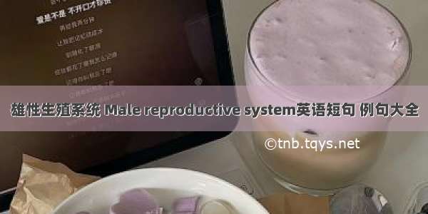 雄性生殖系统 Male reproductive system英语短句 例句大全