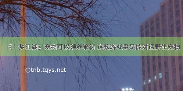 《一梦江湖》宠物可以领养繁衍 这款游戏更是能对话野生宠物