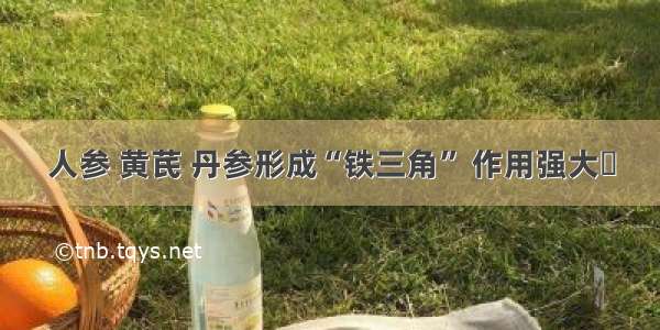 人参 黄芪 丹参形成“铁三角” 作用强大✔