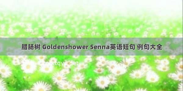 腊肠树 Goldenshower Senna英语短句 例句大全