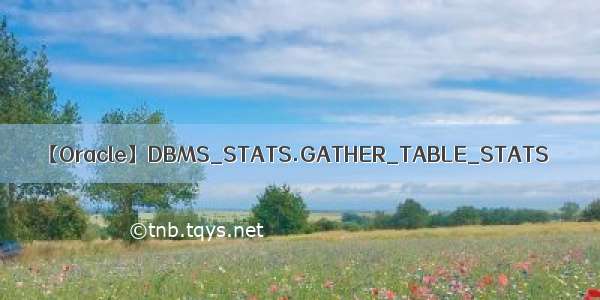 【Oracle】DBMS_STATS.GATHER_TABLE_STATS