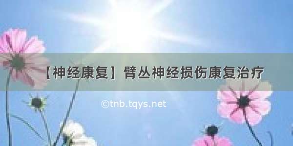 【神经康复】臂丛神经损伤康复治疗