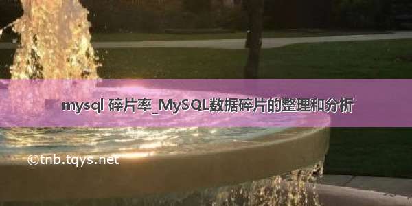 mysql 碎片率_MySQL数据碎片的整理和分析