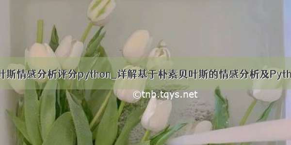 朴素贝叶斯情感分析评分python_详解基于朴素贝叶斯的情感分析及Python实现