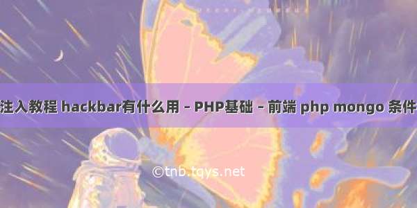 php sql注入教程 hackbar有什么用 – PHP基础 – 前端 php mongo 条件查询语句