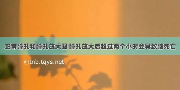 正常瞳孔和瞳孔放大图 瞳孔放大后超过两个小时会导致脑死亡