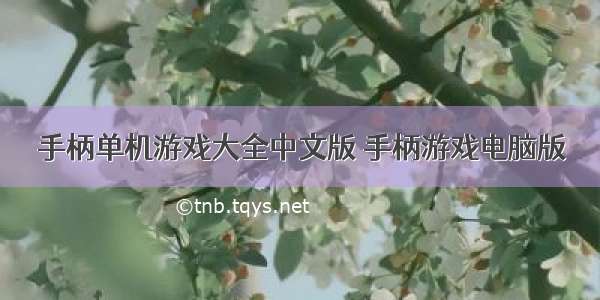 手柄单机游戏大全中文版 手柄游戏电脑版