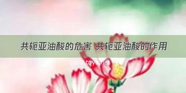 共轭亚油酸的危害 共轭亚油酸的作用