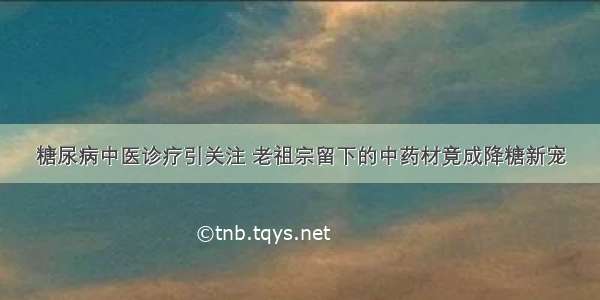 糖尿病中医诊疗引关注 老祖宗留下的中药材竟成降糖新宠