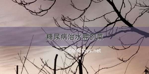 糖尿病治水肿的菜