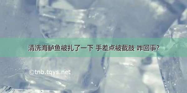 清洗海鲈鱼被扎了一下 手差点被截肢 咋回事？