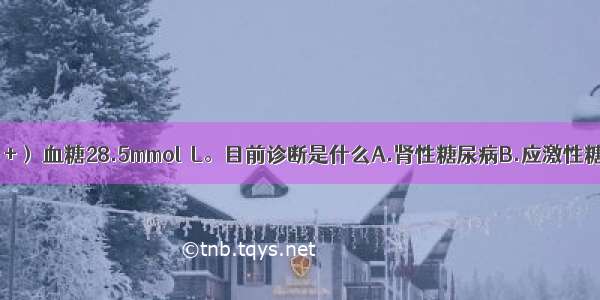 提示：尿酮（+） 血糖28.5mmol／L。目前诊断是什么A.肾性糖尿病B.应激性糖尿病C.甲状