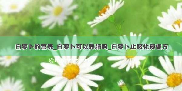 白萝卜的营养_白萝卜可以养肺吗_白萝卜止咳化痰偏方