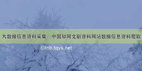 大数据信息资料采集：中国知网文献资料网站数据信息资料爬取