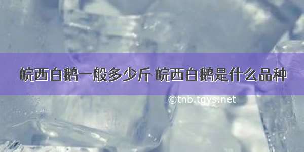 皖西白鹅一般多少斤 皖西白鹅是什么品种