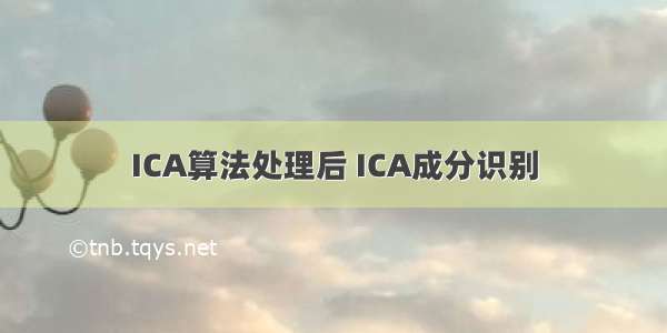ICA算法处理后 ICA成分识别