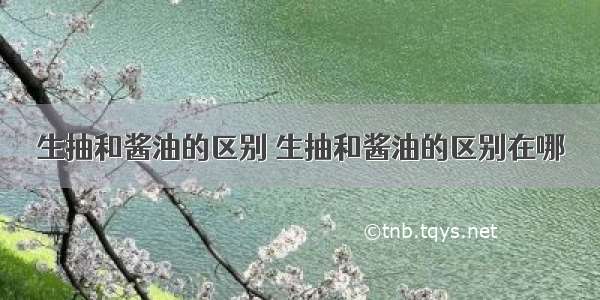 生抽和酱油的区别 生抽和酱油的区别在哪