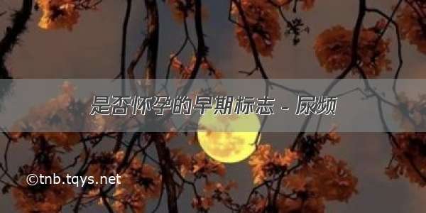 是否怀孕的早期标志－尿频