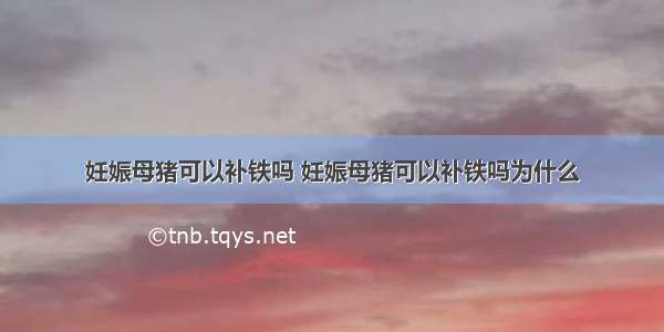 妊娠母猪可以补铁吗 妊娠母猪可以补铁吗为什么