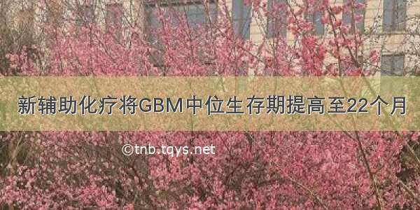 新辅助化疗将GBM中位生存期提高至22个月