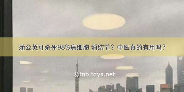 蒲公英可杀死98%癌细胞 消结节？中医真的有用吗？