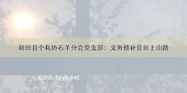 新田县个私协石羊分会党支部：义务修补景区上山路
