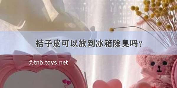 桔子皮可以放到冰箱除臭吗？