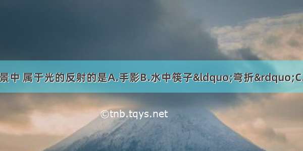 如图所示的四种情景中 属于光的反射的是A.手影B.水中筷子&ldquo;弯折&rdquo;C.电视遥控器D.钢笔