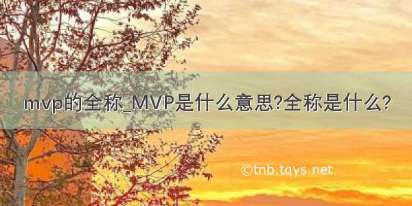 mvp的全称_MVP是什么意思?全称是什么?