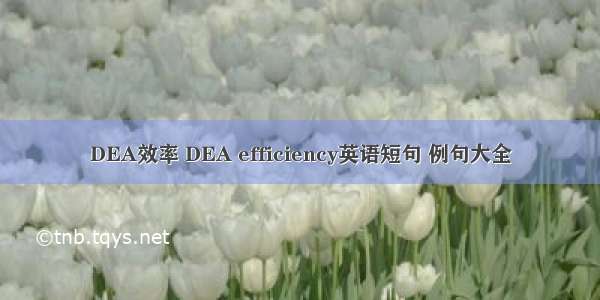 DEA效率 DEA efficiency英语短句 例句大全