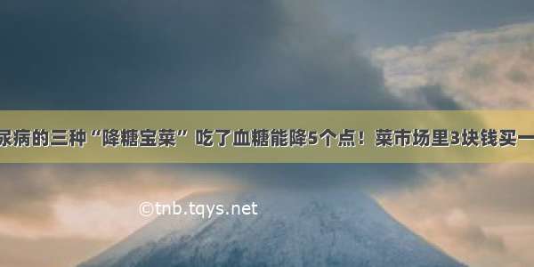 糖尿病的三种“降糖宝菜” 吃了血糖能降5个点！菜市场里3块钱买一堆！