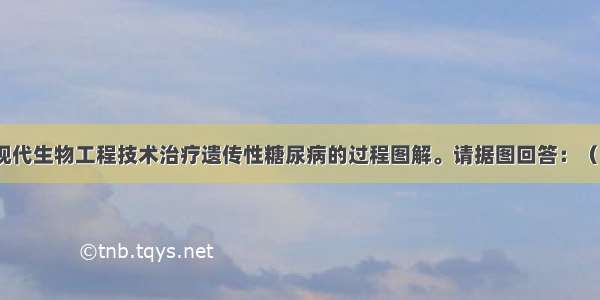 下图是利用现代生物工程技术治疗遗传性糖尿病的过程图解。请据图回答：（1）图中②所