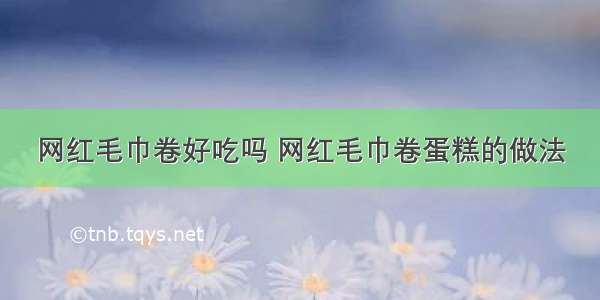 网红毛巾卷好吃吗 网红毛巾卷蛋糕的做法