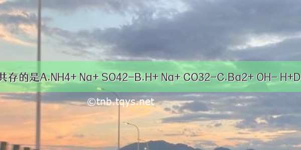 下列各组离子能大量共存的是A.NH4+ Na+ SO42-B.H+ Na+ CO32-C.Ba2+ OH- H+D.Cu2+ NO3- OH-