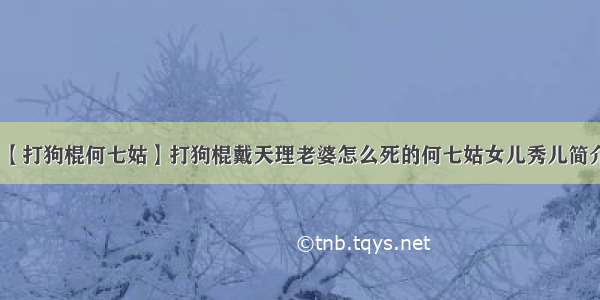 【打狗棍何七姑】打狗棍戴天理老婆怎么死的何七姑女儿秀儿简介