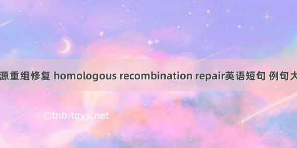 同源重组修复 homologous recombination repair英语短句 例句大全