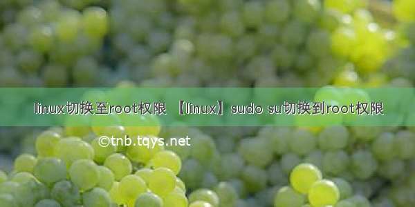 linux切换至root权限 【linux】sudo su切换到root权限