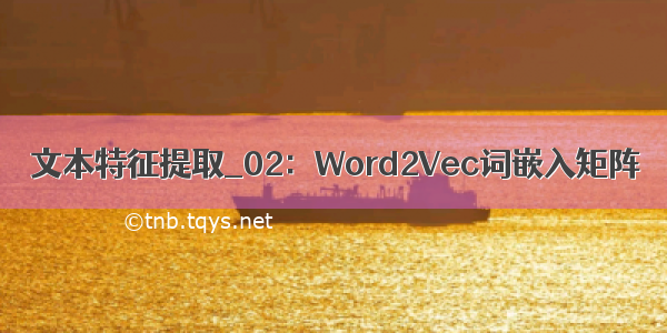 文本特征提取_02：Word2Vec词嵌入矩阵