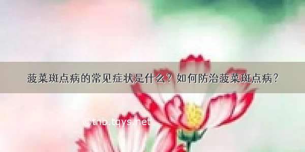 菠菜斑点病的常见症状是什么？如何防治菠菜斑点病？