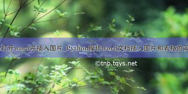 python打开word并插入图片_Python操作word文档插入图片和表格的实例演示