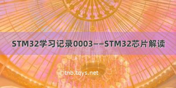 STM32学习记录0003——STM32芯片解读