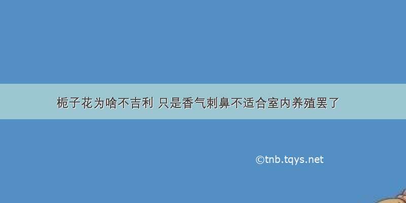 栀子花为啥不吉利 只是香气刺鼻不适合室内养殖罢了