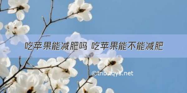 吃苹果能减肥吗 吃苹果能不能减肥